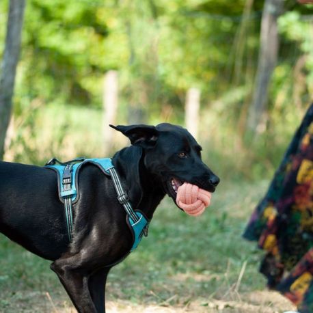 BALLE TRESSEE - JEU SPORTIF POUR CHIEN 8 CM