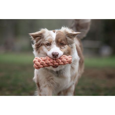 JEU TRESSE - JEU SPORTIF POUR CHIEN 21 CM