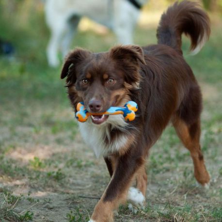 OS CAOUTCHOUC ROBUSTE - JEU EDUCATIF POUR CHIEN 15 CM