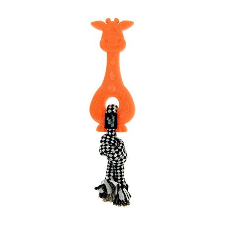 GIRAFE DENTITION 19 CM