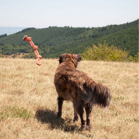 JEU TRESSE 3 NOEUDS/ANSE - JEU SPORTIF POUR CHIEN 58 CM