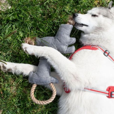 DOUDOU CHIEN TISSU ET CORDE SONORE