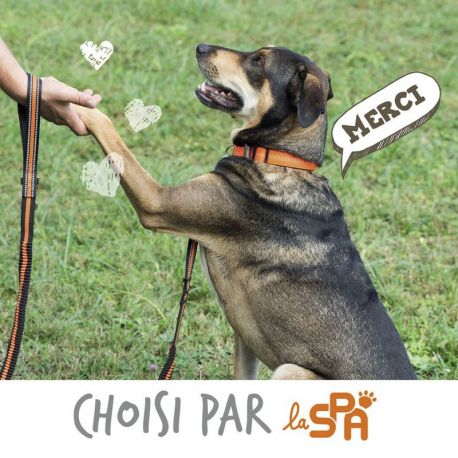 LAISSE REFLECHISSANTE POUR CHIEN MESH RESPIRANT - GRIS - 150 CM