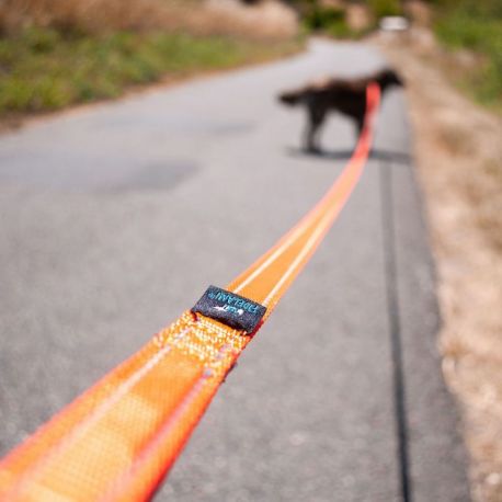 LONGE REFLECHISSANTE POUR CHIEN LAISSE 4,5 METRES - ORANGE