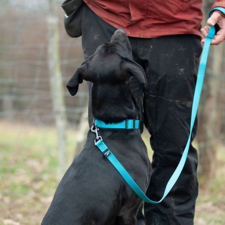 LAISSE POUR CHIEN TURQUOISE LEGERE - 120 CM