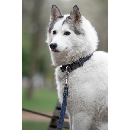 LAISSE POUR CHIEN BLUE JEAN  120 CM