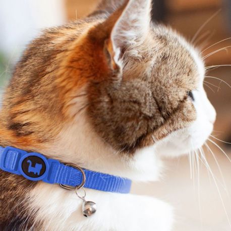 COLLIER CHAT - ANTI-ETRANGLEMENT A GRELOT - BLEU UNI - TU 20 A 30 CM