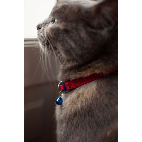 COLLIER CHAT REFLECHISSANT - ULTRA CONFORT - ROUGE/BLEU - 20 À 30 CM