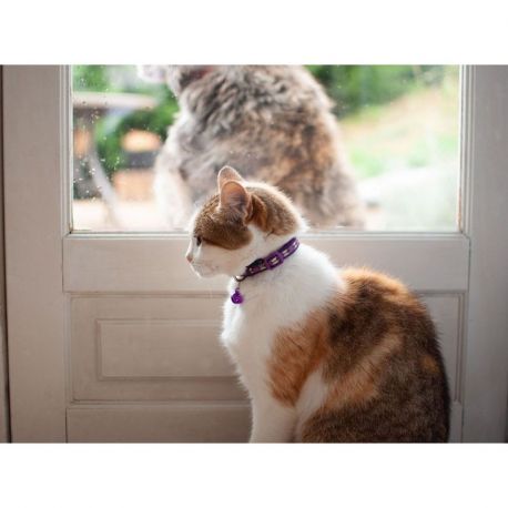 COLLIER CHAT - ANTI-ETRANGLEMENT A CLOCHETTE - VIOLET - TU 20 A 30CM