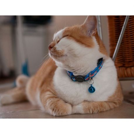 COLLIER CHAT - ANTI-ETRANGLEMENT A CLOCHETTE - BLEU - TU 20 A 30 CM