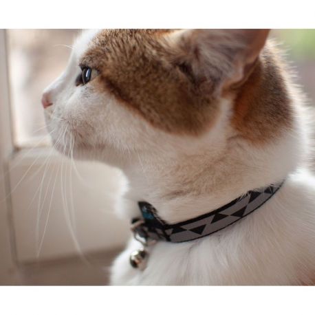 COLLIER CHAT - ANTI-ETRANGLEMENT A CLOCHETTE-REFLECHISSANT-20 A 30CM