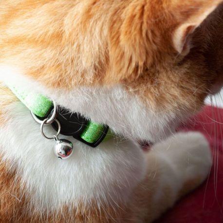 COLLIER CHAT - ANTI-ETRANGLEMENT A CLOCHETTE - VERT - 20 A 30 CM