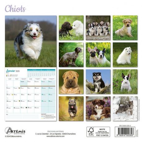 CALENDRIER CHIOTS 2025