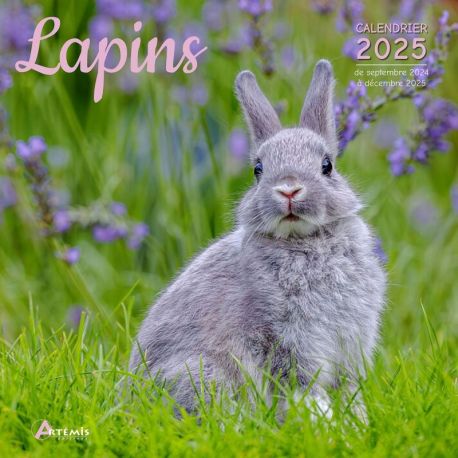 CALENDRIER LAPINS 2025