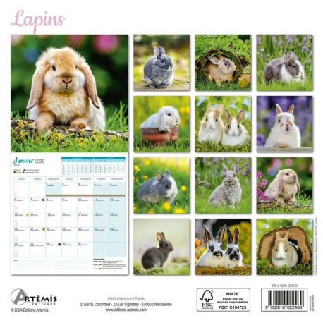 CALENDRIER LAPINS 2025