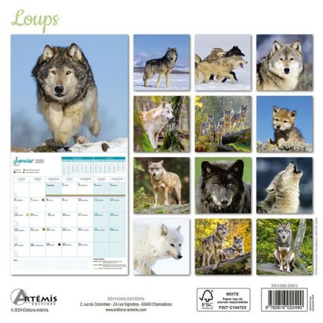CALENDRIER LOUPS 2025