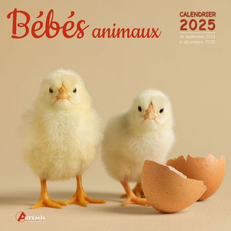 CALENDRIER BEBES ANIMAUX 2025