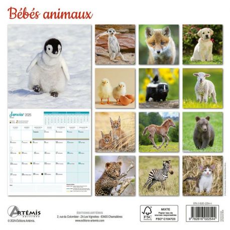 CALENDRIER BEBES ANIMAUX 2025