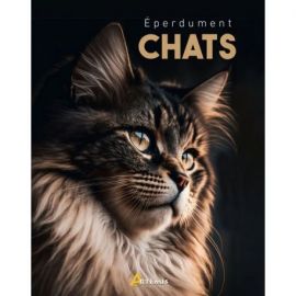 EPERDUMENT CHATS