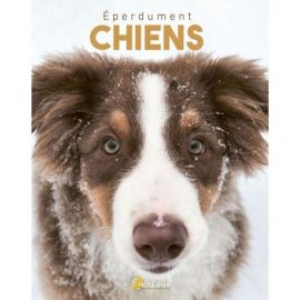 EPERDUMENT CHIENS
