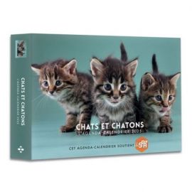 CHATS ET CHATONS 2025 AGENDA - CALENDRIER