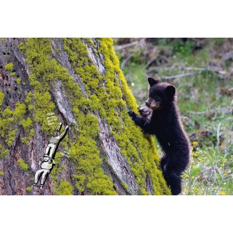 LA-HAUT, MONTAGNES DU MONDE ETONNANTS ANIMAUX