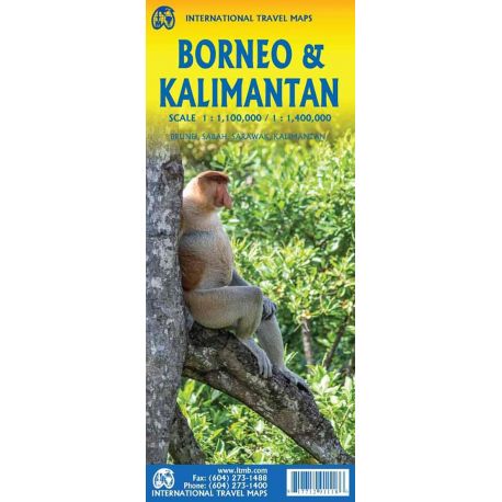 BORNEO KALIMANTAN