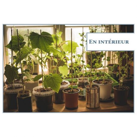 MINI-POTAGER POUR TOUTES LES SITUATIONS