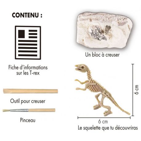 SQUELETTE DE DINOSAURE A DETERRER - CREUSE ET DECOUVRE