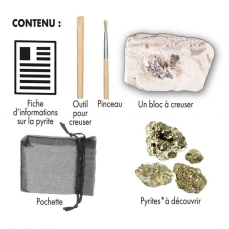 CHERCHEUR D'OR - KIT A DETERRER - CREUSE ET DECOUVRE