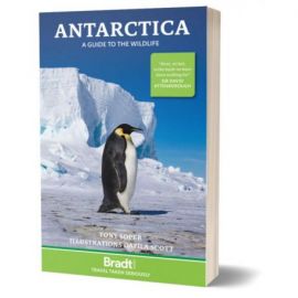 ANTARCTICA WILDLIFE