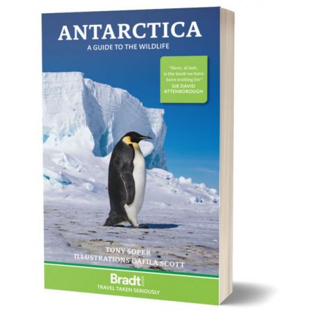 ANTARCTICA WILDLIFE