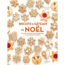 BISCUITS ET GATEAUX DE NOEL DU SABLE A LA BUCHE - TOUTES LES TECHNIQUES EN PAS A PAS POUR SE REGALER