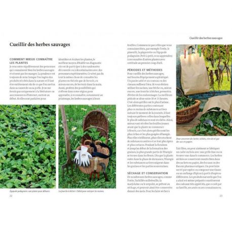 LA NATURE SAUVAGE COMESTIBLE IDENTIFIER - COLLECTER - PREPARER