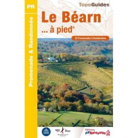 P641 LE BEARN... A PIED