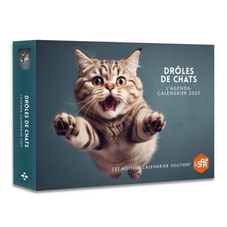 DROLES DE CHATS 2025 AGENDA - CALENDRIER