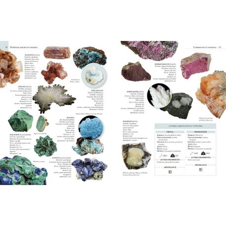 ENCYCLOPEDIE ILLUSTREE DES MINERAUX ROCHES & FOSSILES