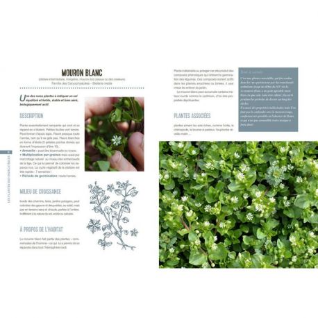 LES PLANTES BIO-INDICATRICES OPTIMISER VOTRE TERRAIN