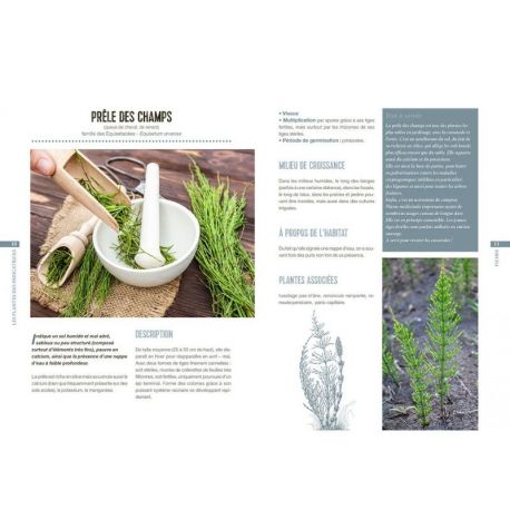 LES PLANTES BIO-INDICATRICES OPTIMISER VOTRE TERRAIN