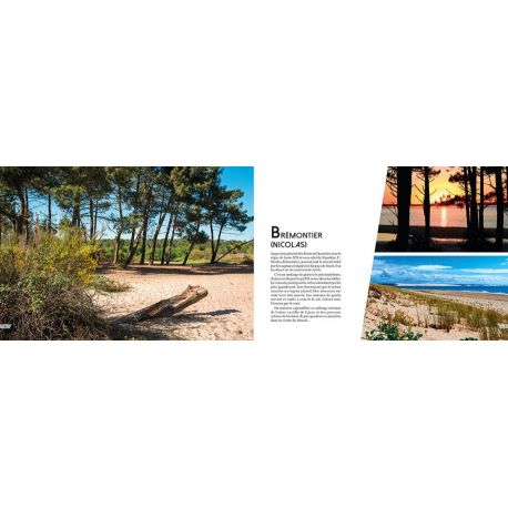 LE BASSIN D'ARCACHON EN LETTRES ET EN IMAGES