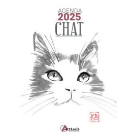 AGENDA CHAT 2025