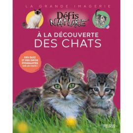 A LA DECOUVERTE DES CHATS LA GRANDE IMAGERIE - DEFIS NATURE