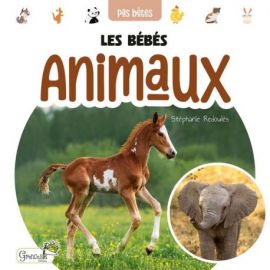 LES BEBES ANIMAUX