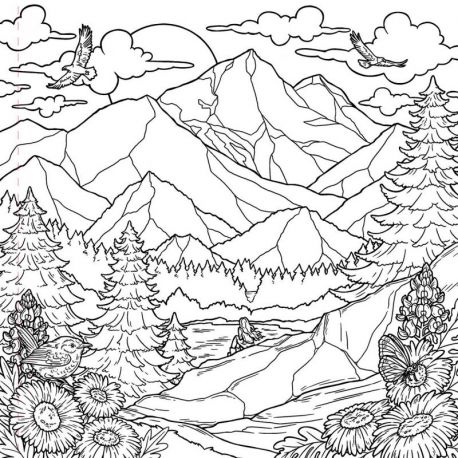 NATURE & LIBERTE COLORIAGE ADULTE