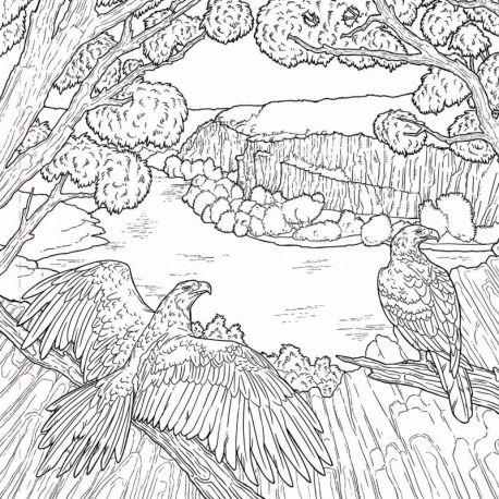 NATURE & LIBERTE COLORIAGE ADULTE