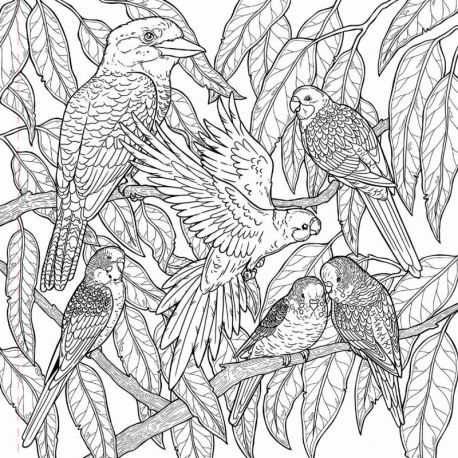 NATURE & LIBERTE COLORIAGE ADULTE