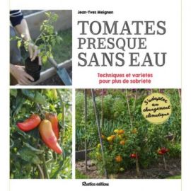 DES TOMATES PRESQUE SANS EAU