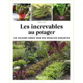 LES INCREVABLES AU POTAGER