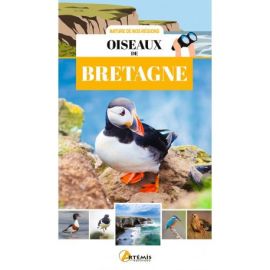 OISEAUX DE BRETAGNE