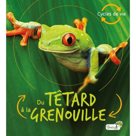 DU TETARD A LA GRENOUILLE